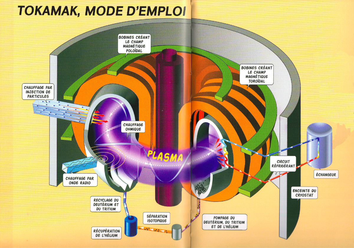 Diagram of the tokamak reactor, showing the vacuum chamber as the gray cylinder, surrounding the coils that generates a magnetic field. Source: CEA, "ITER: the path to the stars?", J. Jacquinot, R. Arnoux, Edisud, 2006.